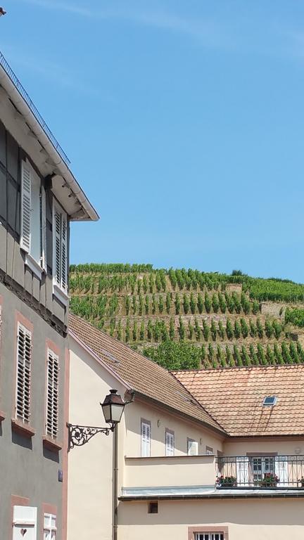 L Escale Des Grands Crus Appartamento Ribeauvillé Esterno foto